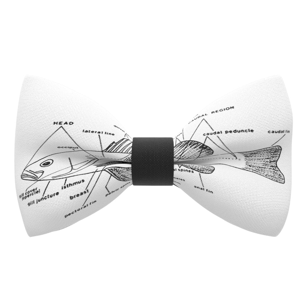 Ichthyology Bow Tie - Bow Tie House